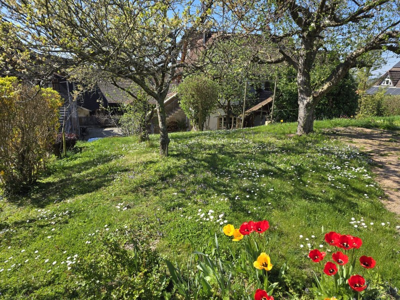 Baugrundstück